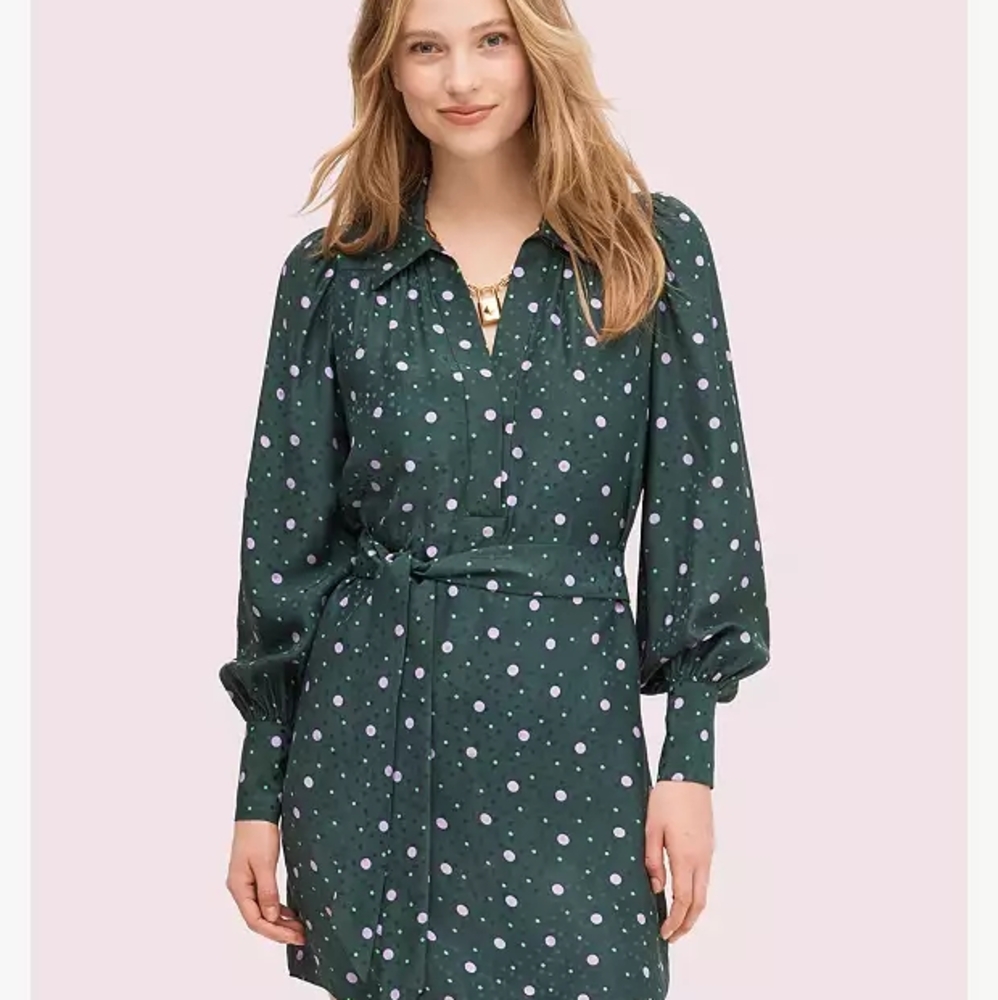 Kate Spade Pop Dots Shirtdress